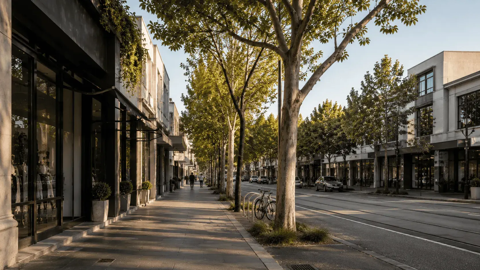 A tree-lined Melbourne shopping strip with small business storefronts and outdoor seating in late afternoon light